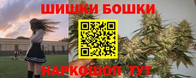 сатива Кандалакша