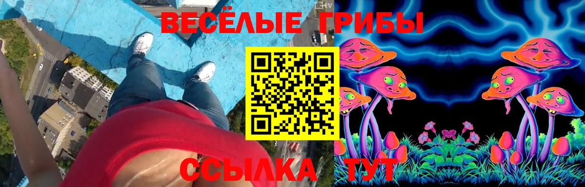 Стерлитамак  Псилоцибиновые грибы Magic Shrooms  Вход с VPN 